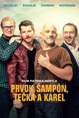 Friendship (2021) Hindi Movie – [400MB] HD Poster Download - filmyfly