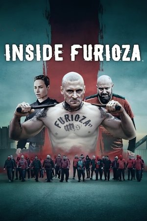 Furioza 2 (2025) Hindi (MULTI AUDIO) – – HD Poster Download - filmyfly
