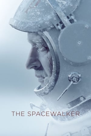 Spacewalk 2017 Hindi Dual Audio – HD Poster Download - filmyfly