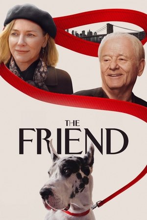 The Friend (2025) Hindi (MULTI AUDIO) – – HD Poster Download - filmyfly