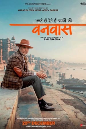Vanvaas (2024) Hindi (DD5.1) HD Poster Download - filmyfly