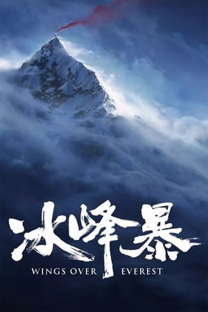 Wings Over Everest (2019) Hindi Dual Audio [1.1GB] HD Poster Download - filmyfly